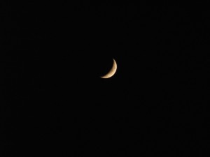 Croissant de lune CP KarimTATAI Strasbourg