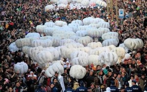 Groupe de Gilles au Carnaval de Binche
